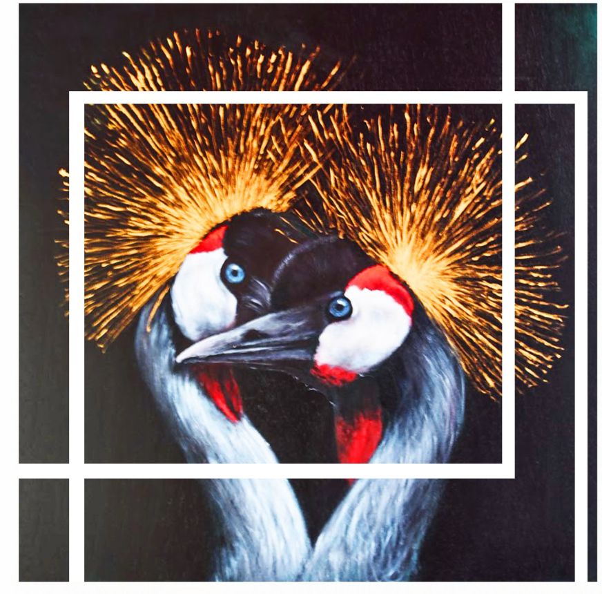 PAÑUELO PAJAROS 90 X 90